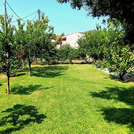 Giorgos Apartments. Skála Foúrkas Dış mekan fotoğraf