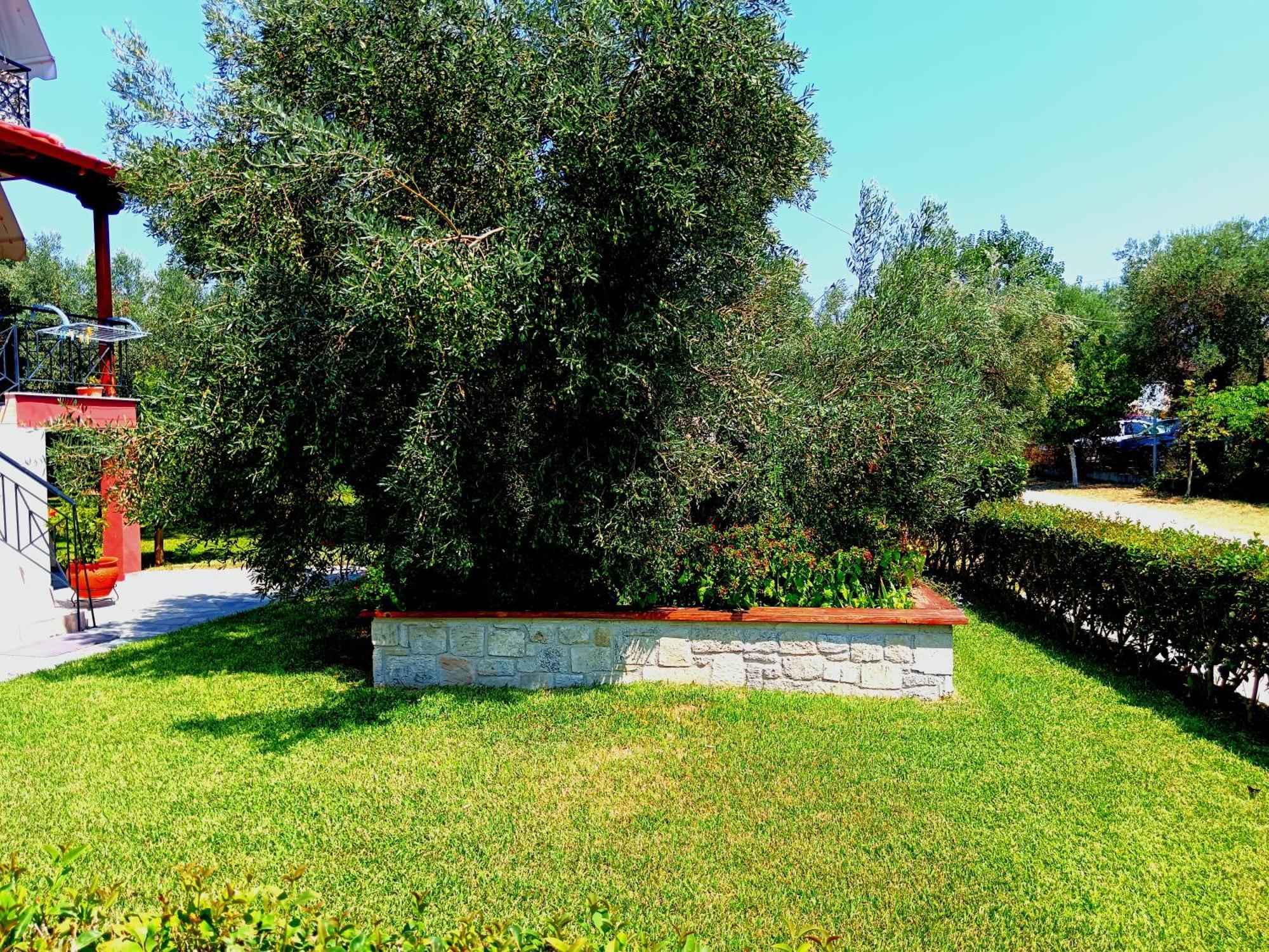 Giorgos Apartments. Skála Foúrkas Dış mekan fotoğraf