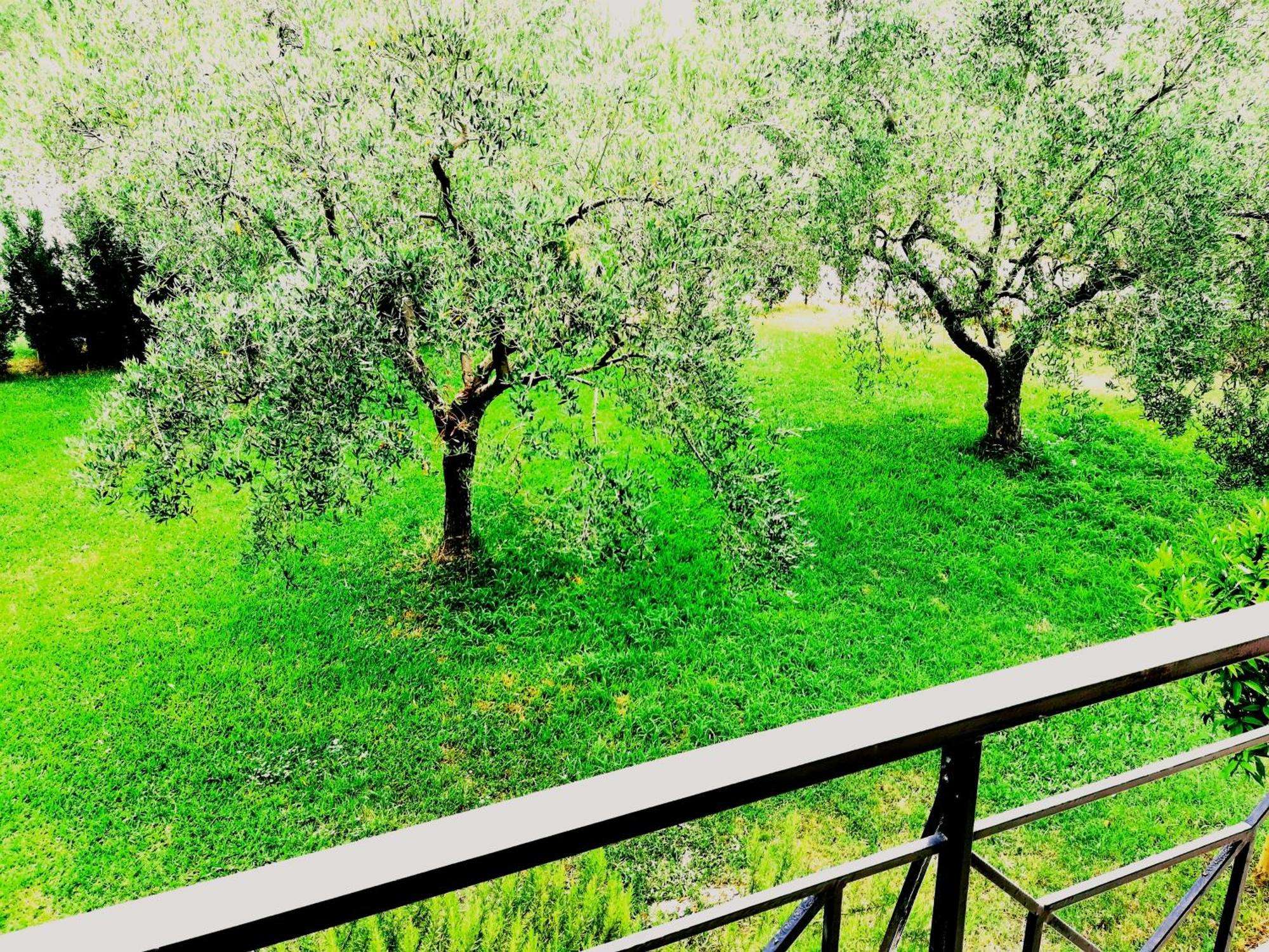 Giorgos Apartments. Skála Foúrkas Dış mekan fotoğraf